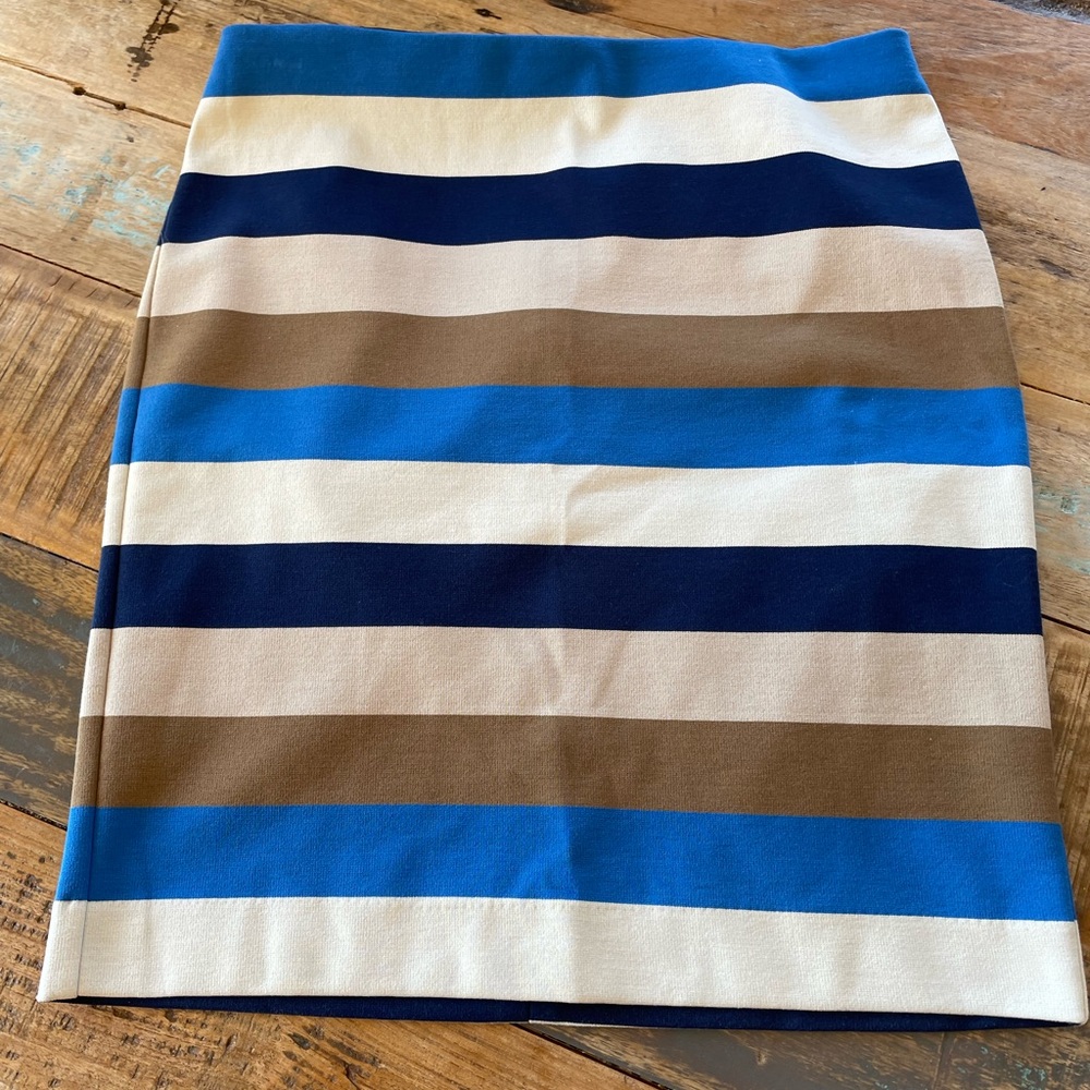 Ann Taylor Skirt